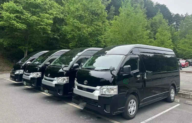 Green Horse Limousine 绿马商务车