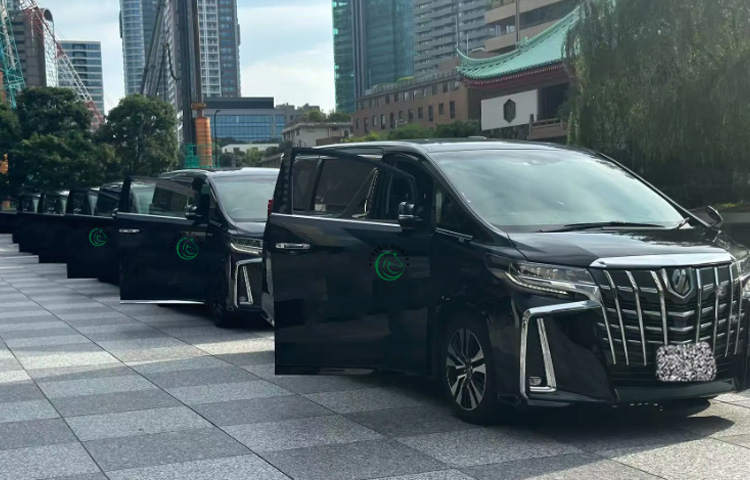 Green Horse Limousine 绿马商务车